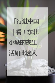 行进中国｜看！东北小城的夜生活如此迷人