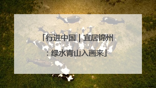 行进中国｜宜居锦州：绿水青山入画来