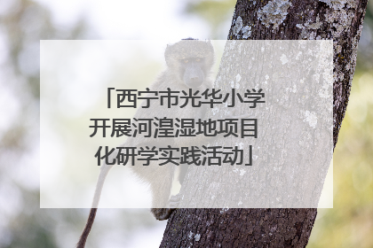 西宁市光华小学开展河湟湿地项目化研学实践活动