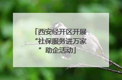 西安经开区开展“社保服务进万家”助企活动