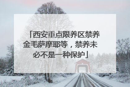 西安重点限养区禁养金毛萨摩耶等，禁养未必不是一种保护