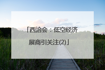 西洽会：低空经济展商引关注(2)