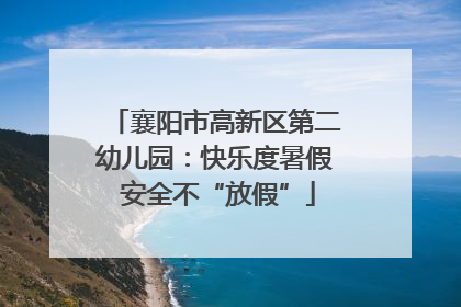 襄阳市高新区第二幼儿园：快乐度暑假 安全不“放假”