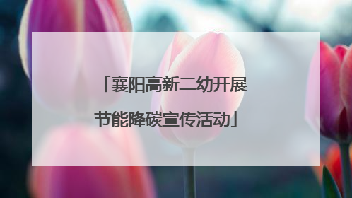 襄阳高新二幼开展节能降碳宣传活动