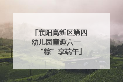 襄阳高新区第四幼儿园童趣六一 “粽”享端午