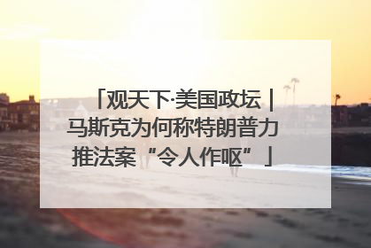 观天下·美国政坛｜马斯克为何称特朗普力推法案“令人作呕”