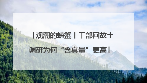 观潮的螃蟹丨干部回故土调研为何“含真量”更高