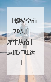 规模空前 70头白犀牛从南非运抵卢旺达