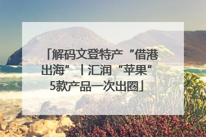 解码文登特产“借港出海”丨汇润“苹果”5款产品一次出圈