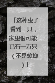 这种虫子看到一只，家里很可能已有一万只（不是蟑螂）