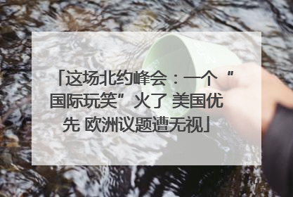 这场北约峰会：一个“国际玩笑”火了 美国优先 欧洲议题遭无视