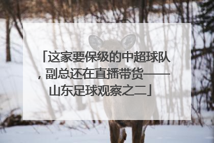 这家要保级的中超球队，副总还在直播带货——山东足球观察之二