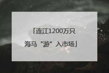 连江1200万只海马“游”入市场