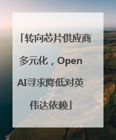 转向芯片供应商多元化，OpenAI寻求降低对英伟达依赖
