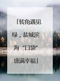 转角遇见绿，盐城滨海“口袋”盛满幸福
