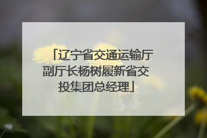 辽宁省交通运输厅副厅长杨树履新省交投集团总经理