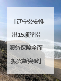 辽宁公安推出15项举措服务保障全面振兴新突破