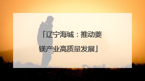 辽宁海城：推动菱镁产业高质量发展