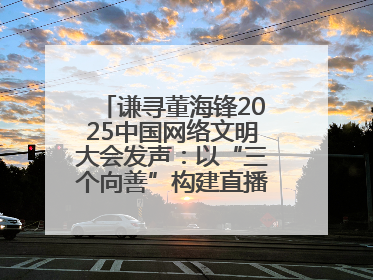 谦寻董海锋2025中国网络文明大会发声：以“三个向善”构建直播电商善意长河