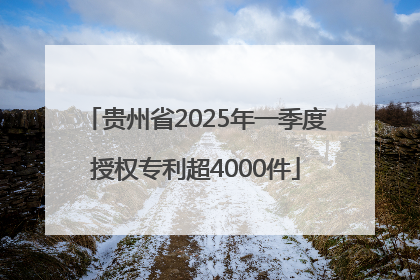 贵州省2025年一季度授权专利超4000件
