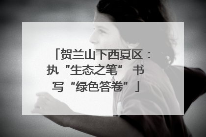 贺兰山下西夏区：执“生态之笔” 书写“绿色答卷”