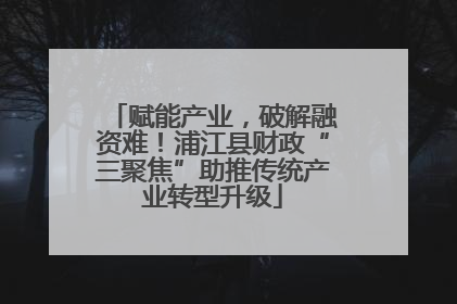 赋能产业，破解融资难！浦江县财政“三聚焦”助推传统产业转型升级