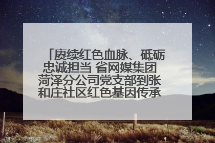 赓续红色血脉、砥砺忠诚担当 省网媒集团菏泽分公司党支部到张和庄社区红色基因传承馆开展主题党日活动