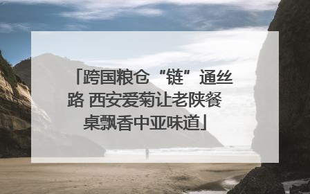 跨国粮仓“链”通丝路 西安爱菊让老陕餐桌飘香中亚味道
