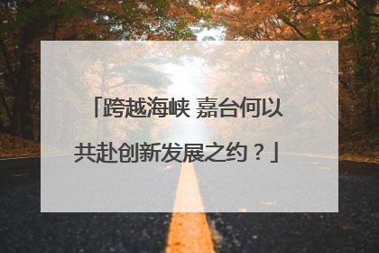 跨越海峡 嘉台何以共赴创新发展之约？