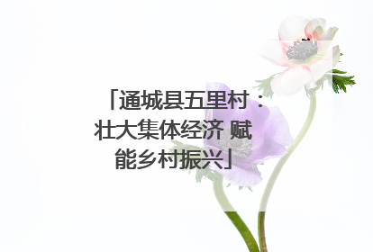 通城县五里村：壮大集体经济 赋能乡村振兴