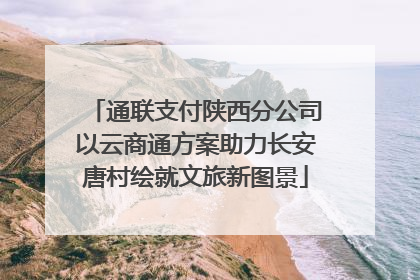 通联支付陕西分公司以云商通方案助力长安唐村绘就文旅新图景