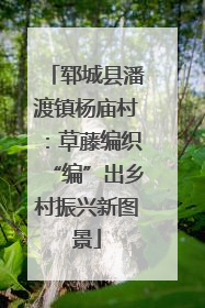 郓城县潘渡镇杨庙村：草藤编织“编”出乡村振兴新图景