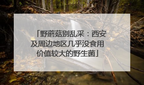 野蘑菇别乱采：西安及周边地区几乎没食用价值较大的野生菌