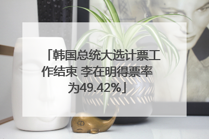 韩国总统大选计票工作结束 李在明得票率为49.42%