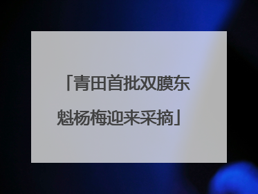青田首批双膜东魁杨梅迎来采摘