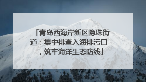 青岛西海岸新区隐珠街道：集中排查入海排污口，筑牢海洋生态防线