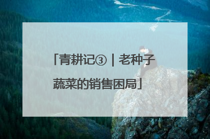 青耕记③｜老种子蔬菜的销售困局