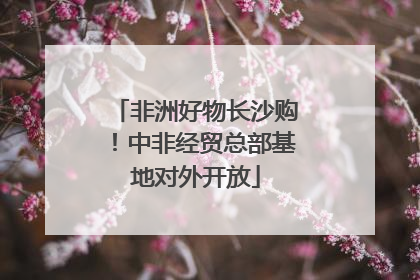 非洲好物长沙购！中非经贸总部基地对外开放