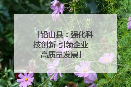 铅山县：强化科技创新 引领企业高质量发展