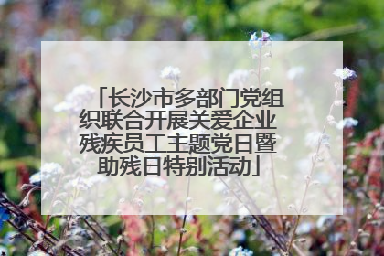 长沙市多部门党组织联合开展关爱企业残疾员工主题党日暨助残日特别活动