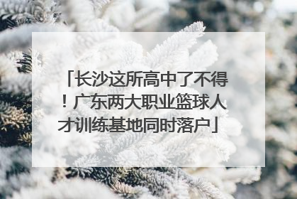 长沙这所高中了不得！广东两大职业篮球人才训练基地同时落户