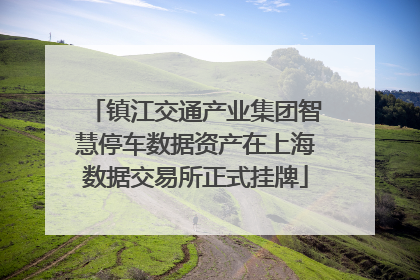 镇江交通产业集团智慧停车数据资产在上海数据交易所正式挂牌
