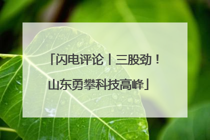闪电评论丨三股劲！山东勇攀科技高峰