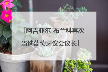 阿吉亚尔-布兰科再次当选葡萄牙议会议长
