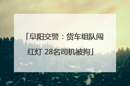 阜阳交警：货车组队闯红灯 28名司机被拘