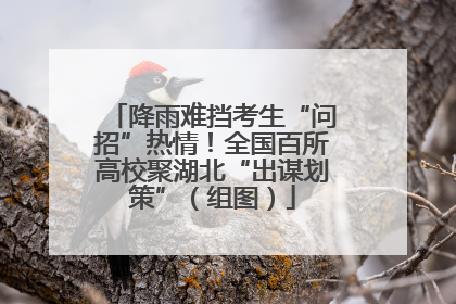 降雨难挡考生“问招”热情！全国百所高校聚湖北“出谋划策”（组图）