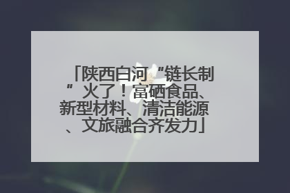 陕西白河“链长制”火了！富硒食品、新型材料、清洁能源、文旅融合齐发力