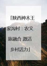 陕西神木王家沟村：农文旅融合 激活乡村活力