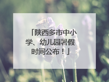 陕西多市中小学、幼儿园暑假时间公布！
