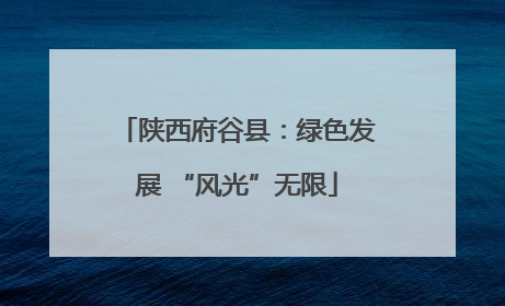 陕西府谷县：绿色发展 “风光”无限